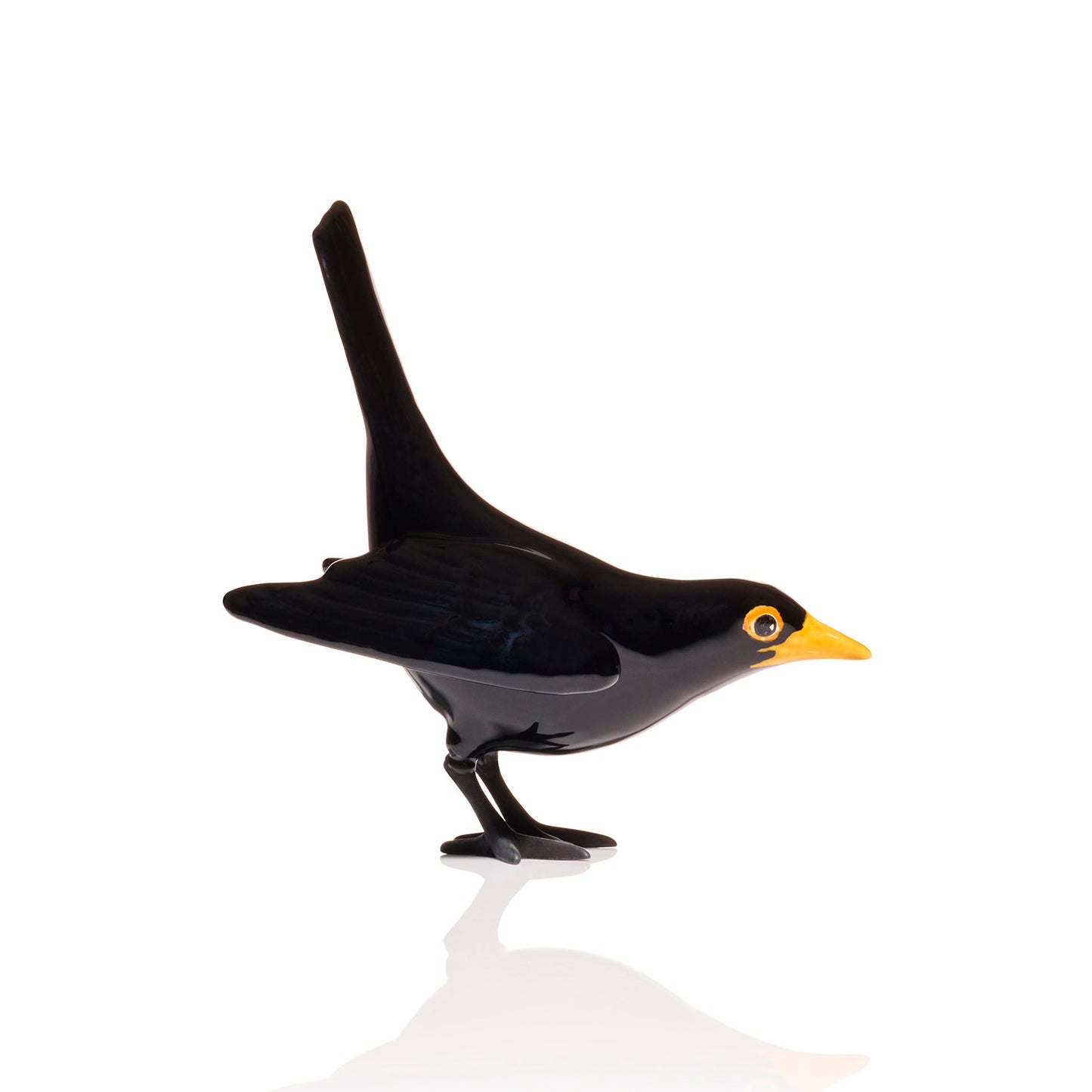 Blackbird Vertical Tail with Black Feet