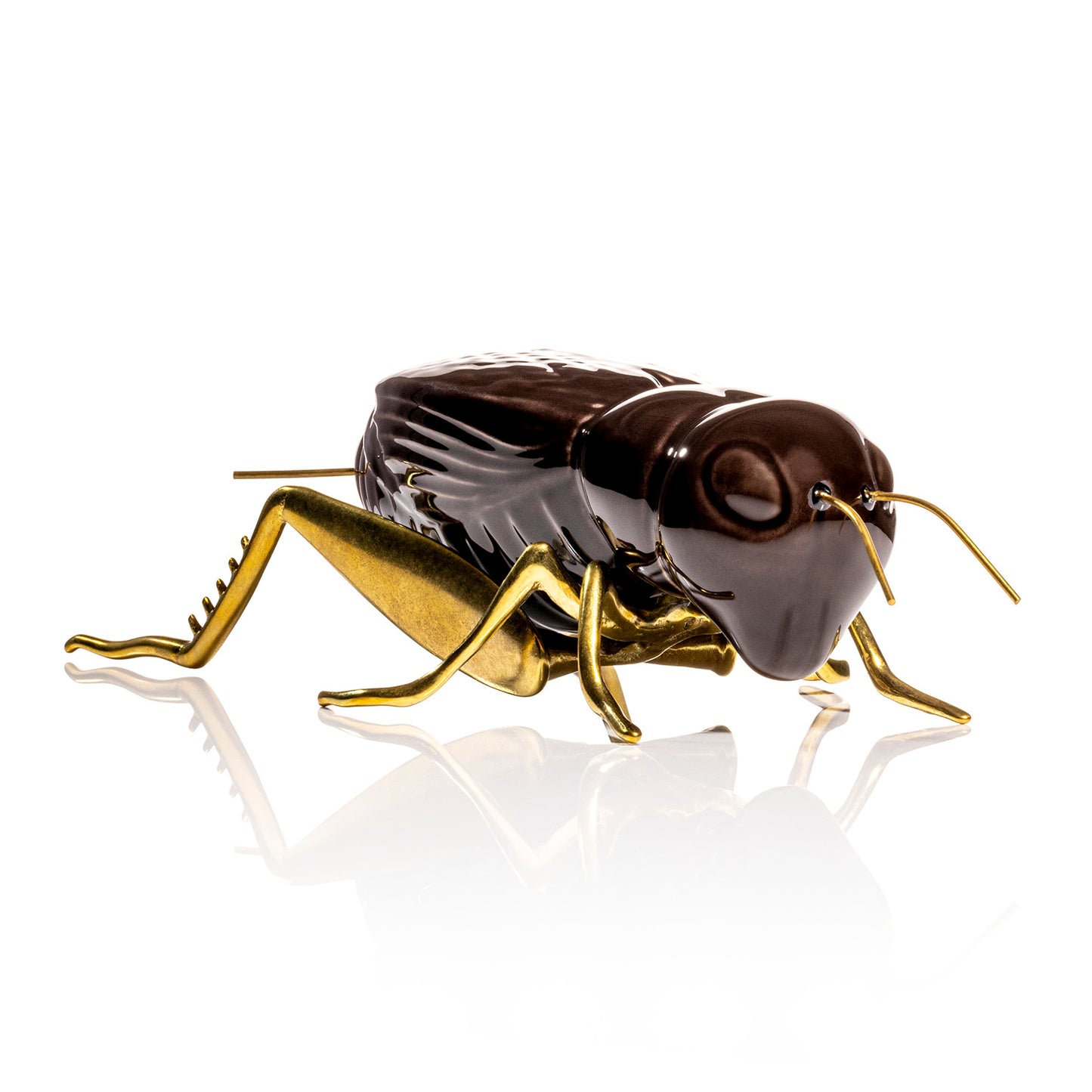 Brown Cricket with Natural Brass Legs