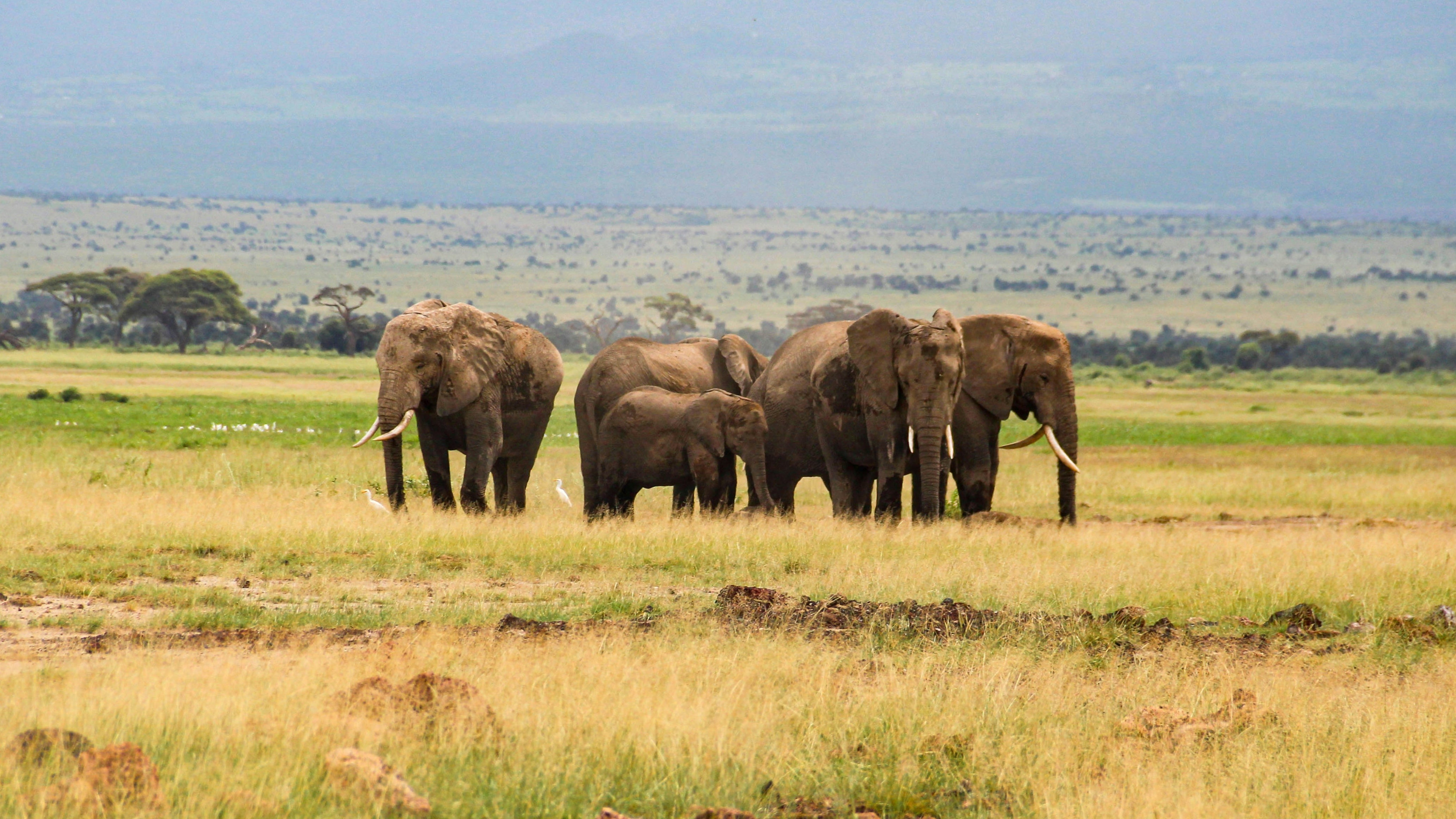 Story Placeholder Image