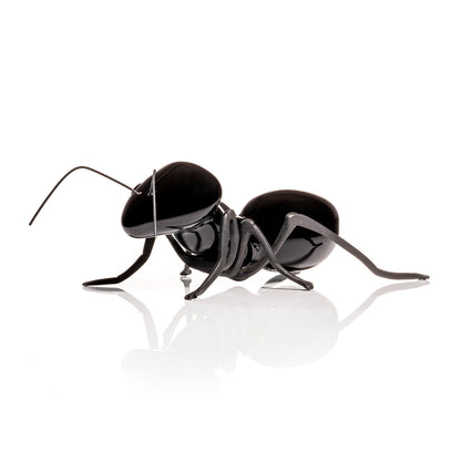 Black Shiny Ant with Oxidized Brass Legs