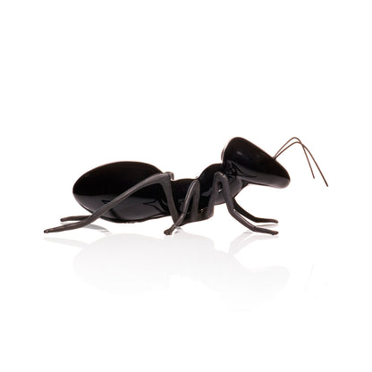 Black Shiny Ant with Oxidized Brass Legs