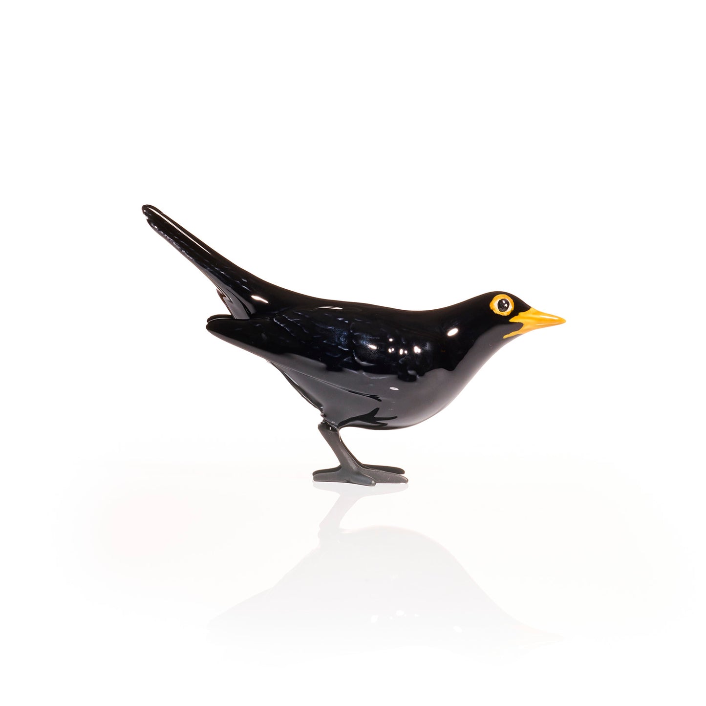 Blackbird Horizontal Tail with Black Feet