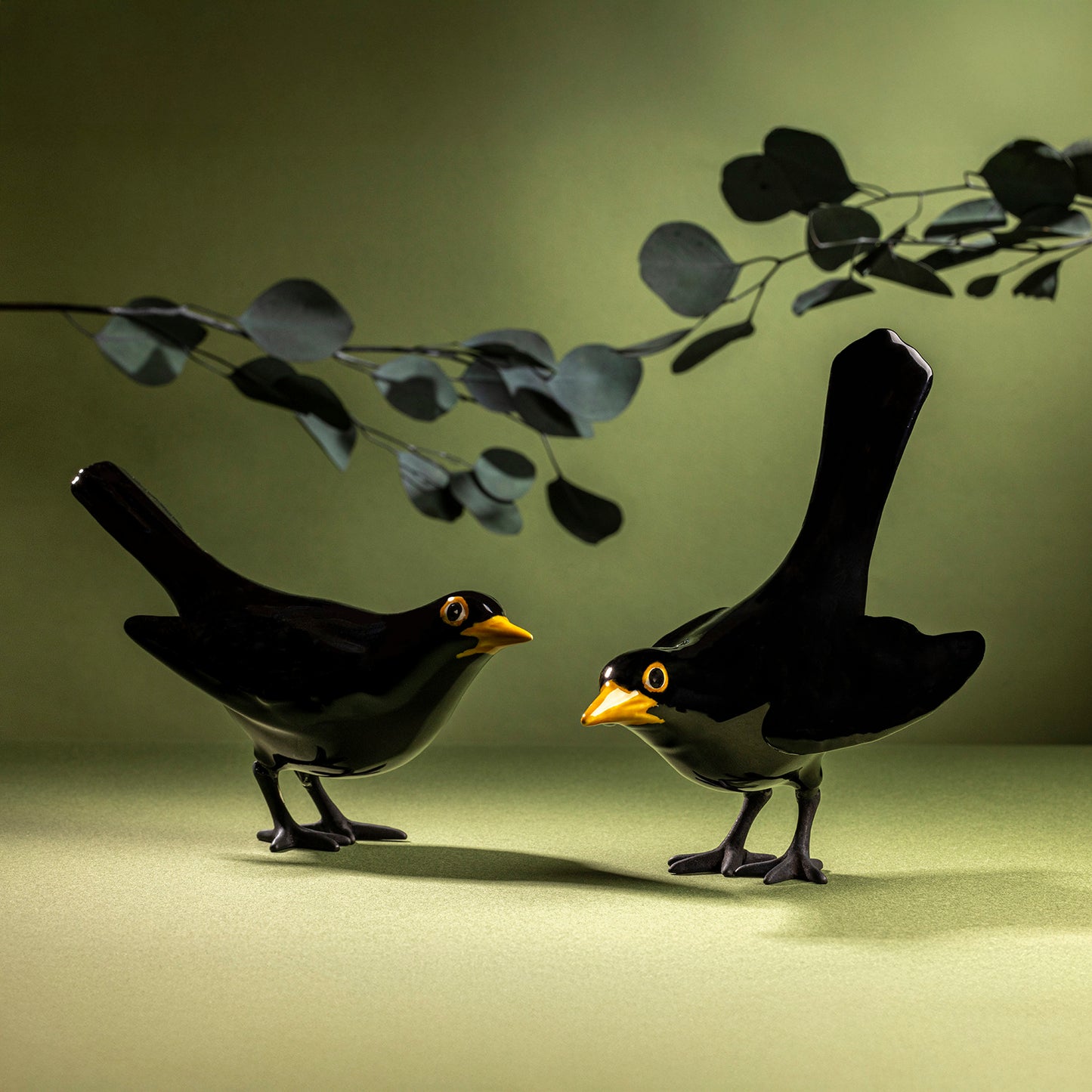 Blackbird Vertical Tail with Black Feet