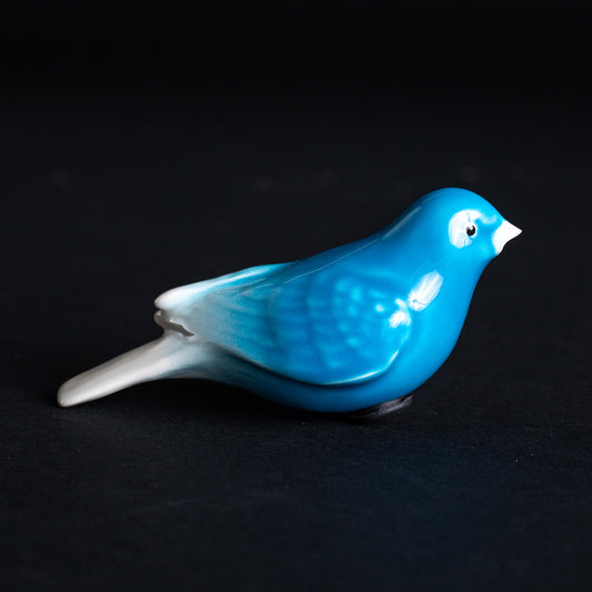 Blue Canary, Individual
