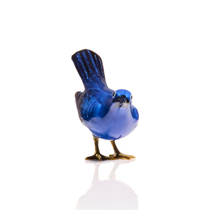 Blue Blackbird Horizontal Tail with Golden Feet