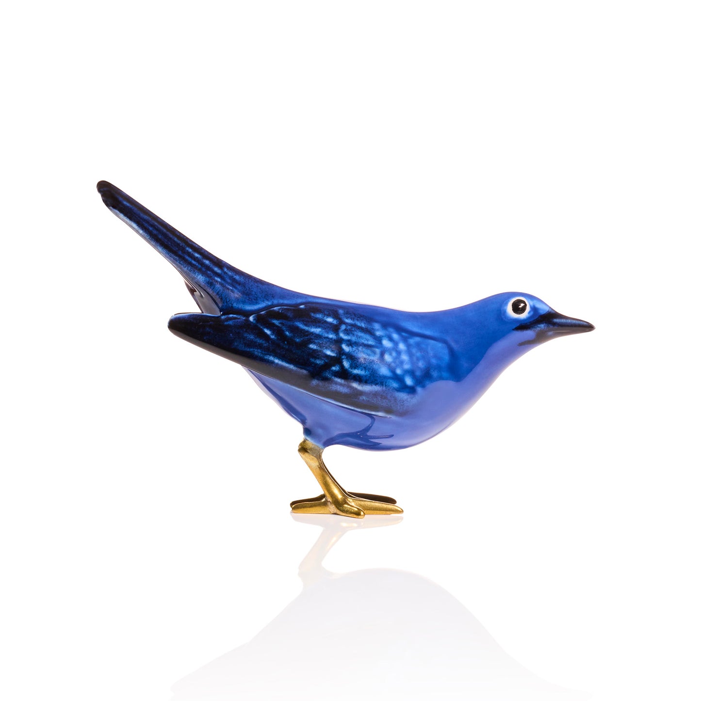 Blue Blackbird Horizontal Tail with Golden Feet