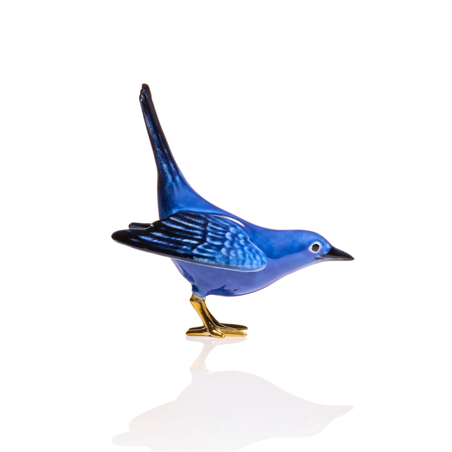Blue Blackbird Vertical Tail with Golden Feet