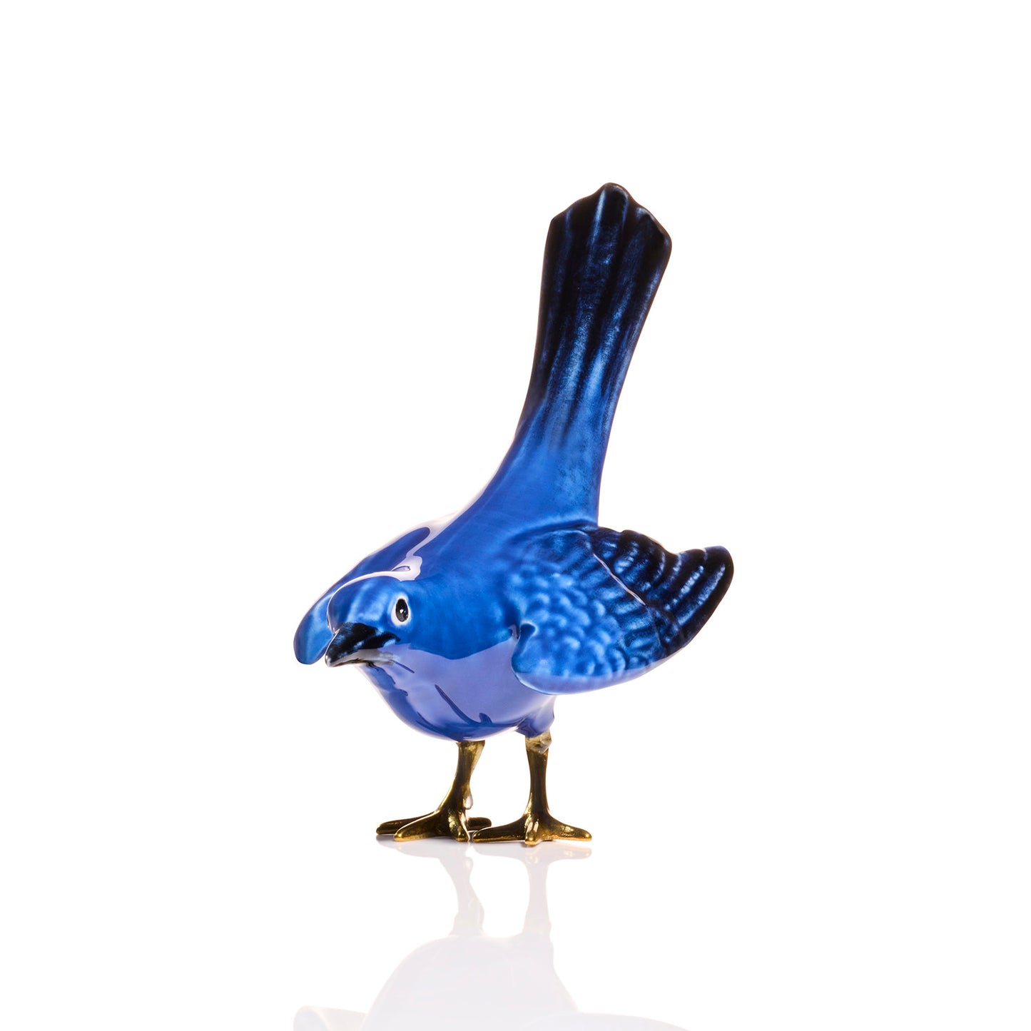Blue Blackbird Vertical Tail with Golden Feet