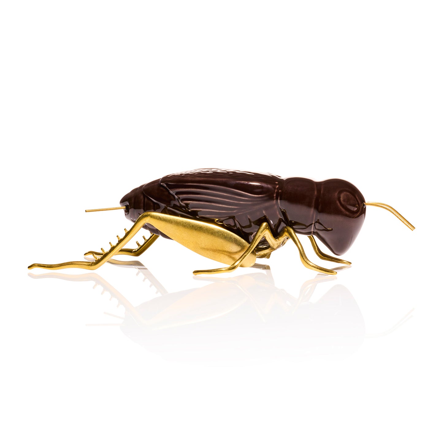 Brown Cricket with Natural Brass Legs