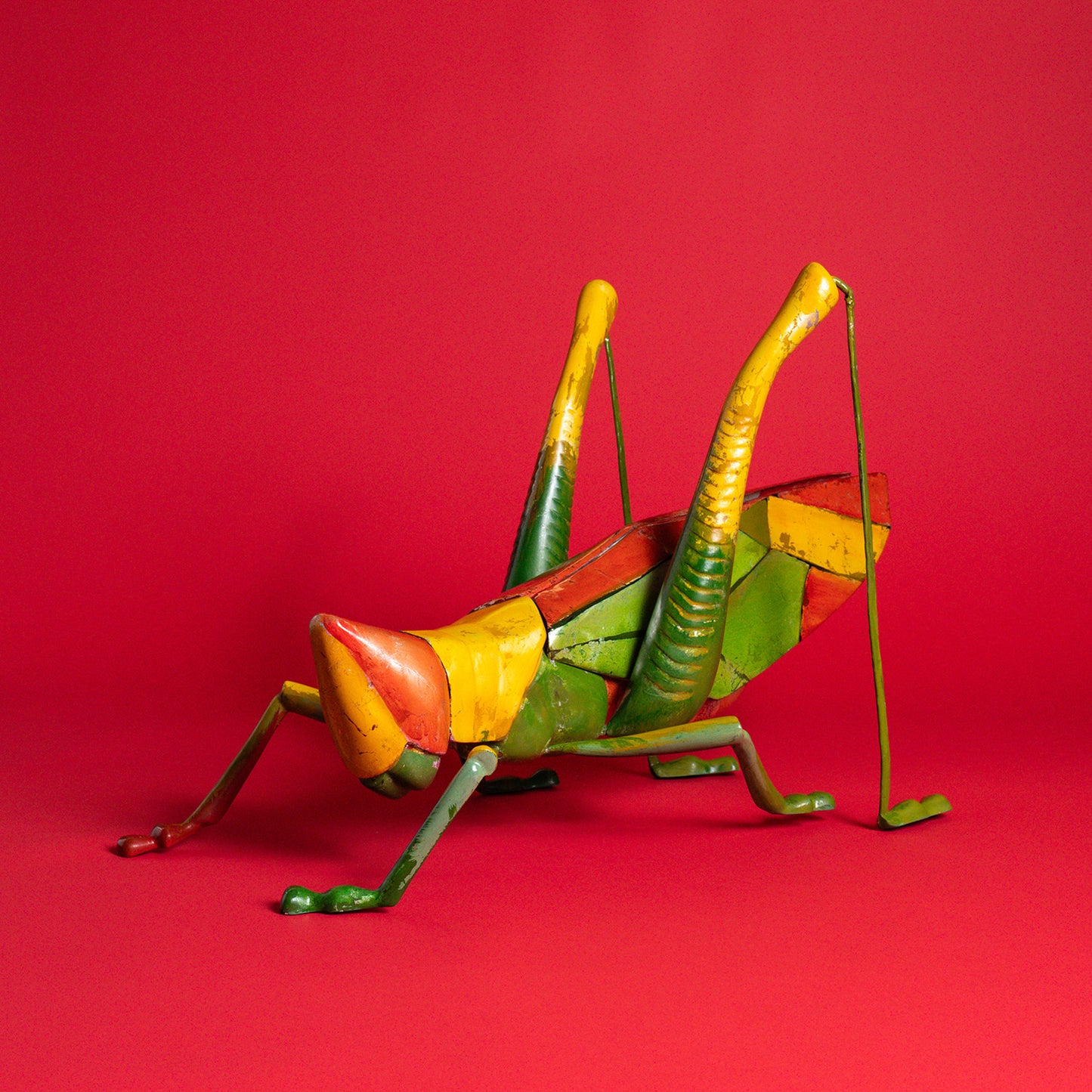 Colorburst Grasshopper