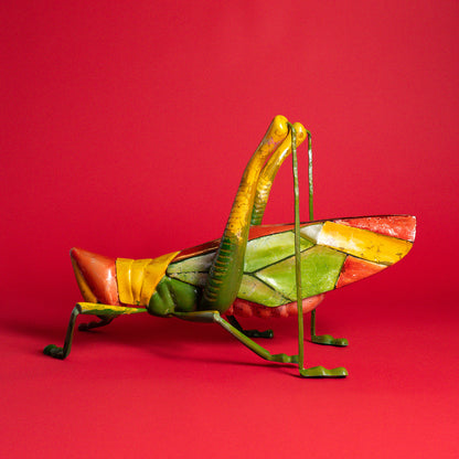 Colorburst Grasshopper