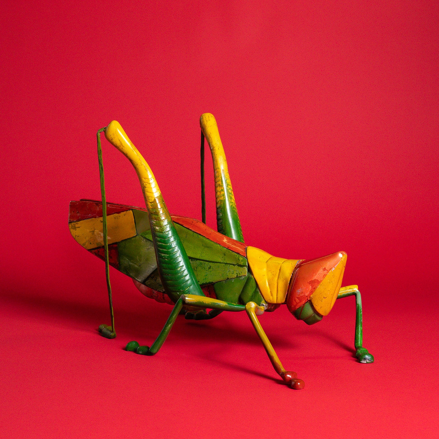 Colorburst Grasshopper