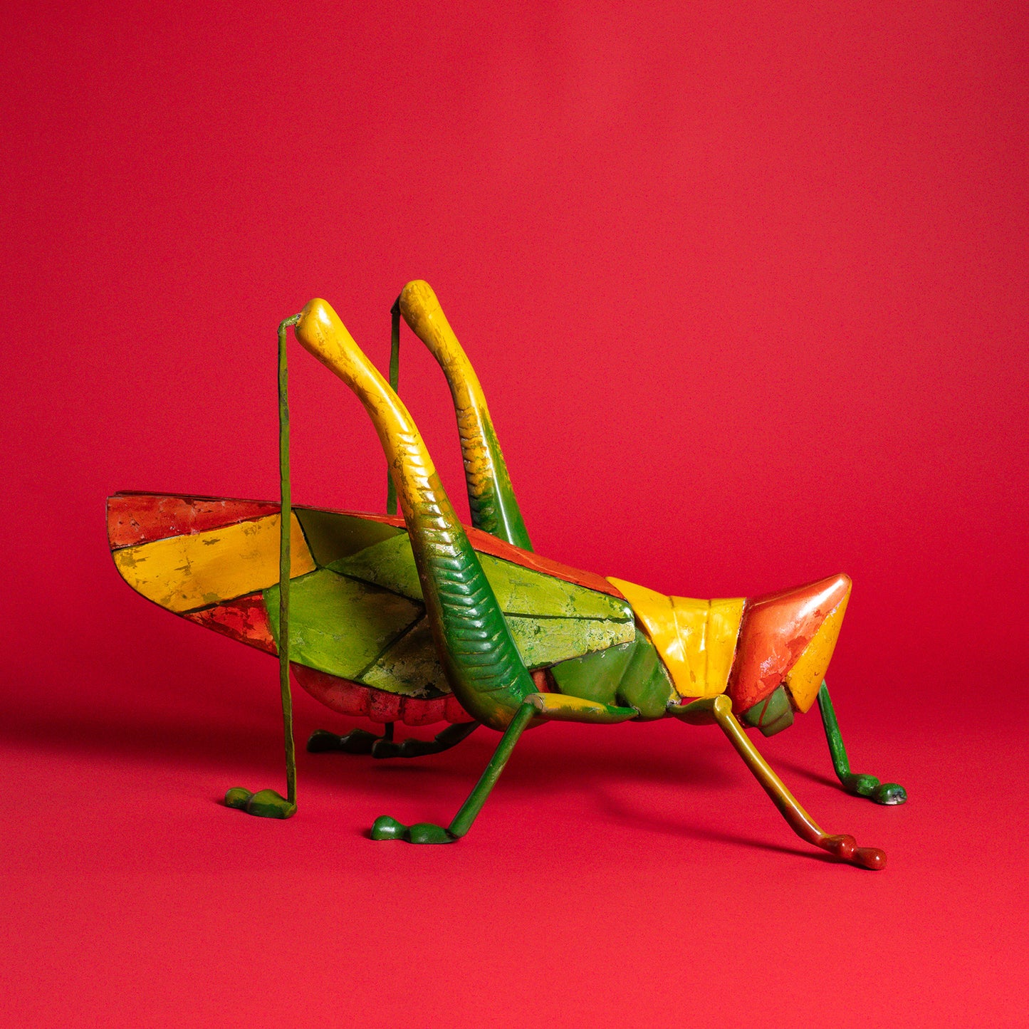 Colorburst Grasshopper