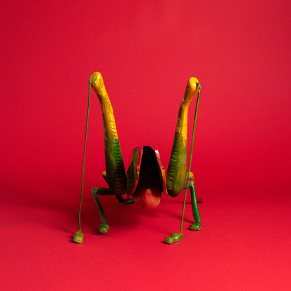 Colorburst Grasshopper