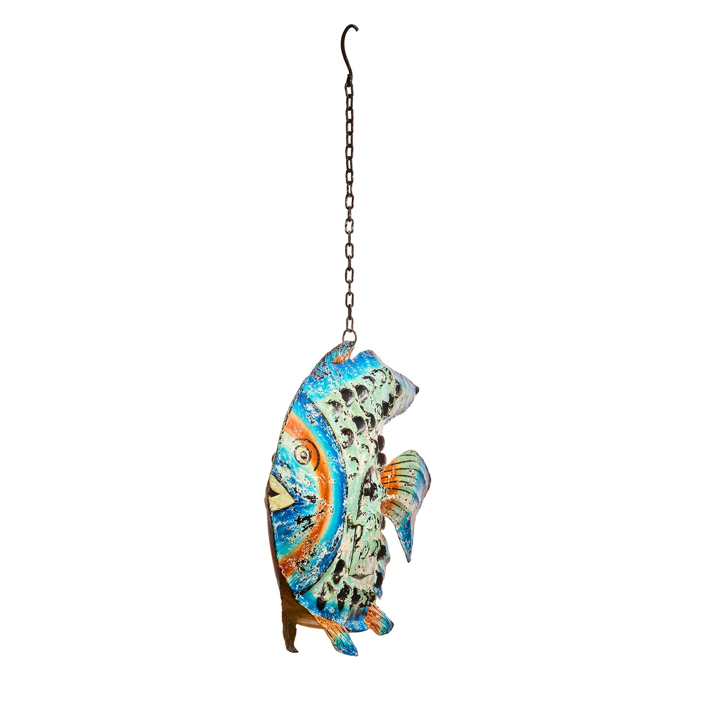 Tint Fish, Blue
