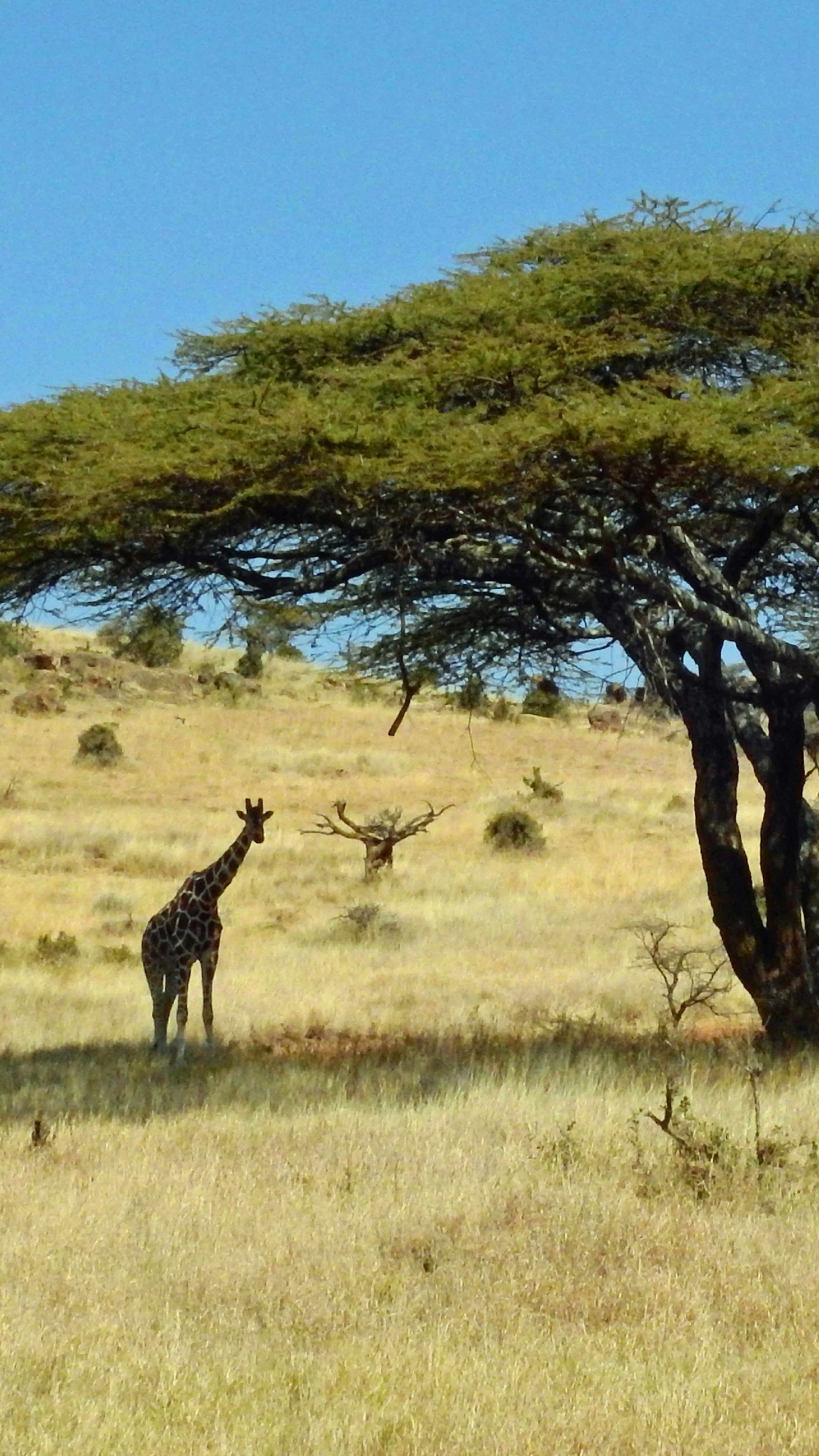 Story Placeholder Image