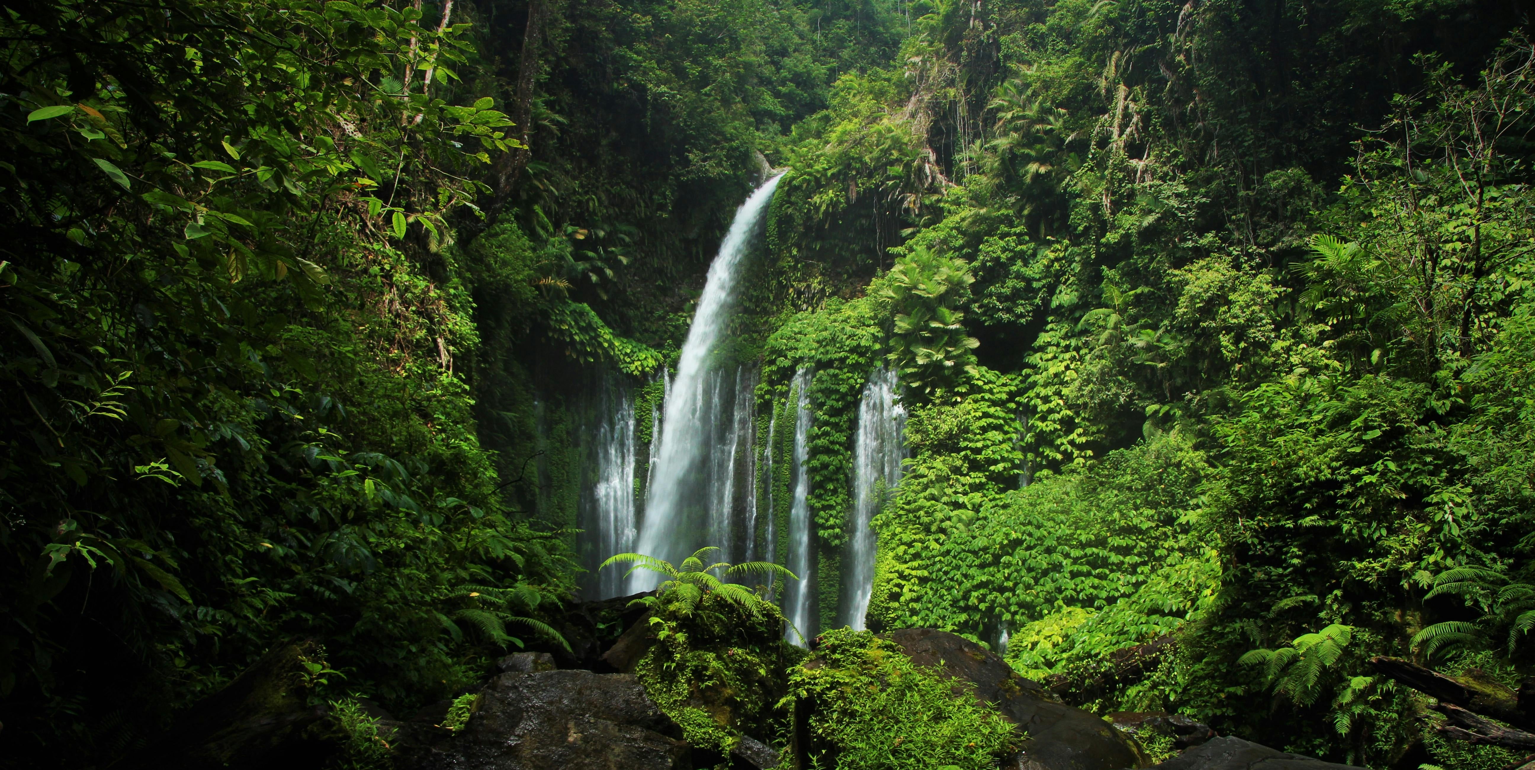 Story Placeholder Image