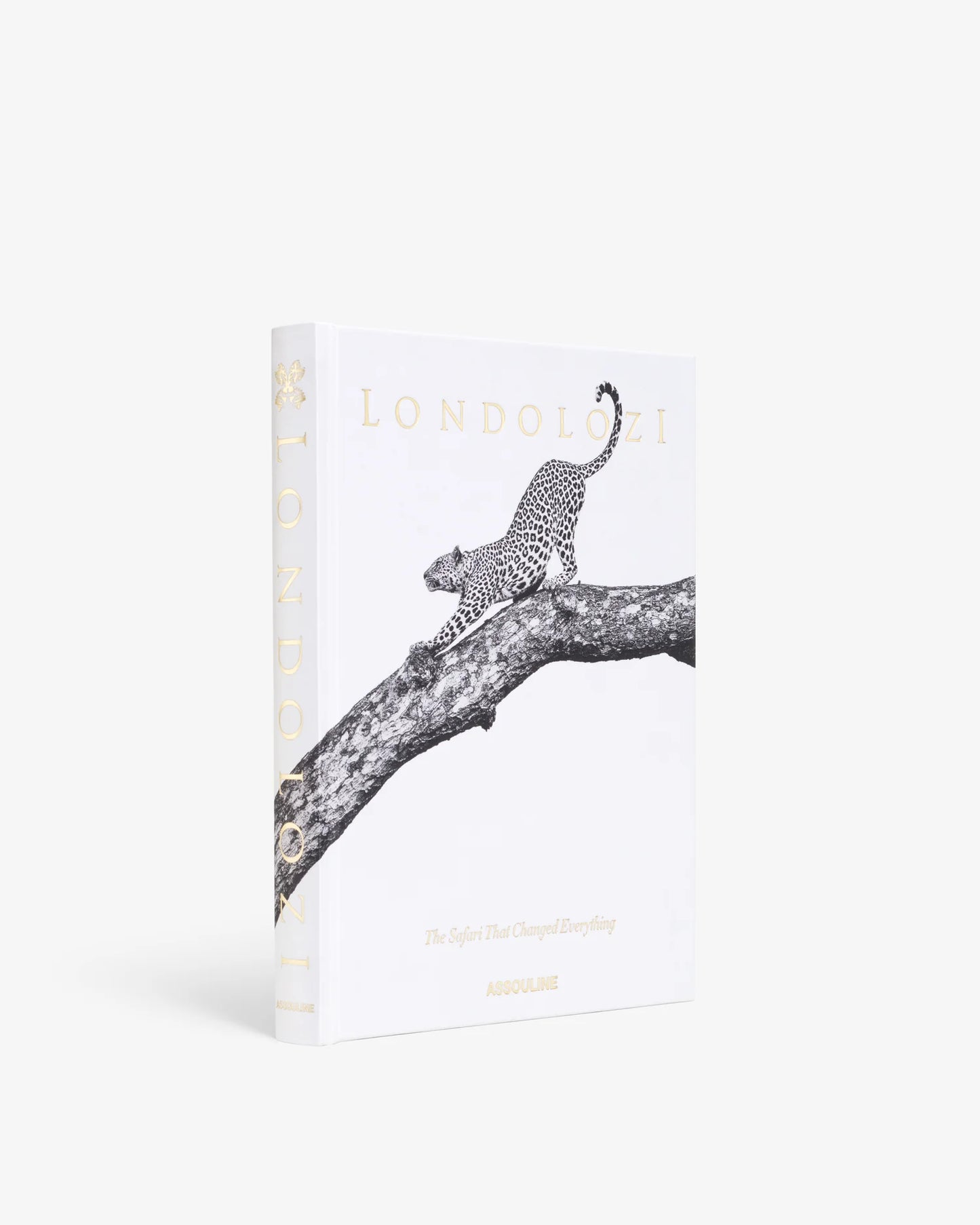 Assouline Londolozi The Safari that Changed Everything