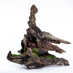 Drift Wood with Moss under Fireplace