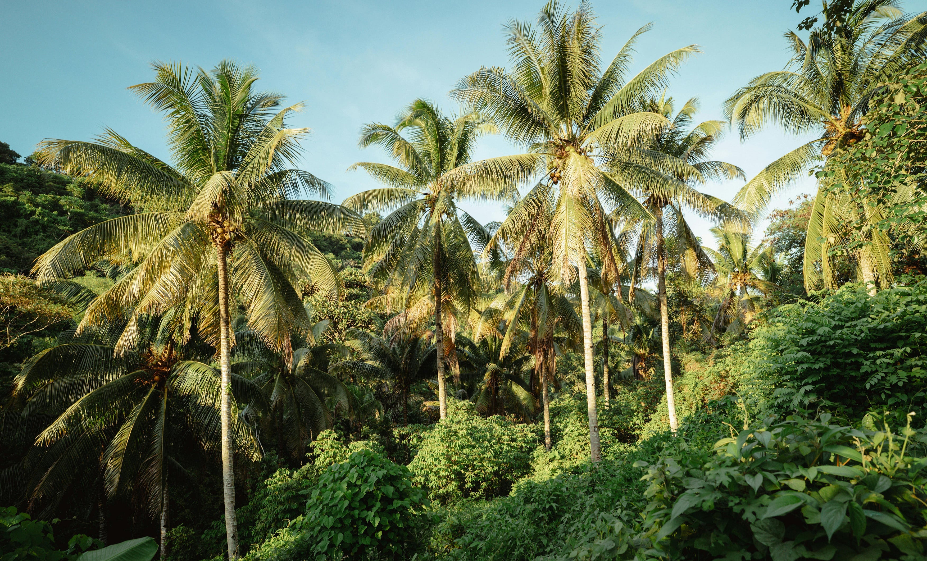 Story Placeholder Image